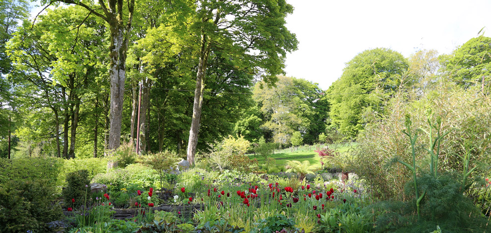 June Blakes Garden