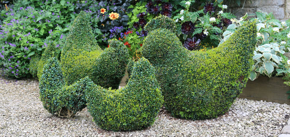 Bourton House Garden