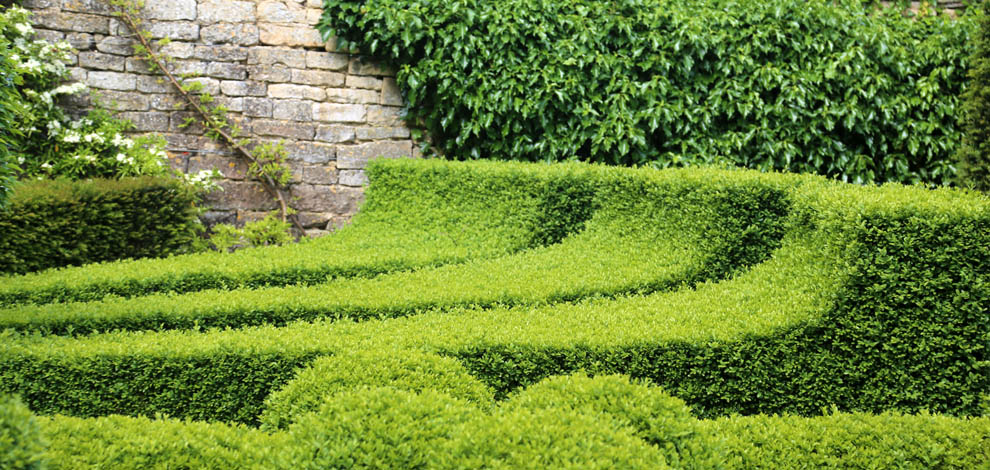 Bourton House Garden