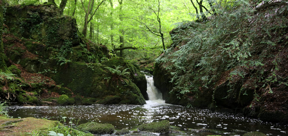 Plas Cadnant