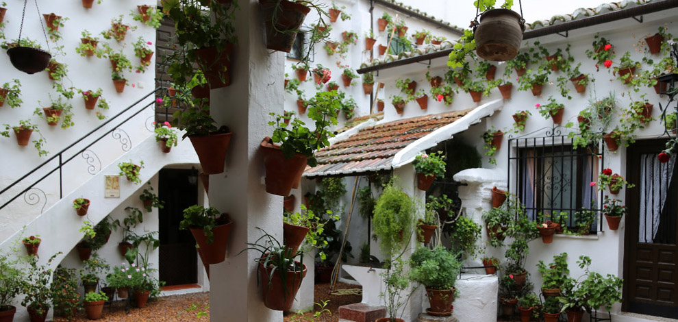 Cordoba patioer, Andalusien, Spanien