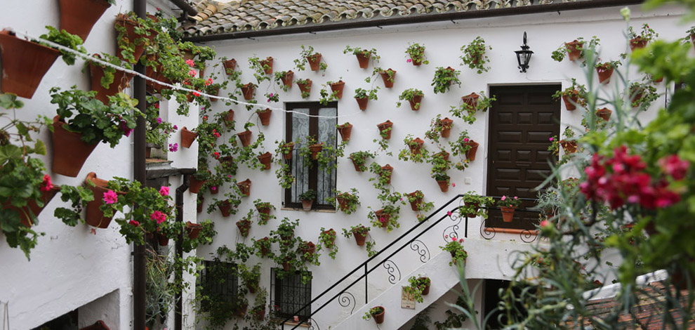 Cordoba patioer, Andalusien, Spanien