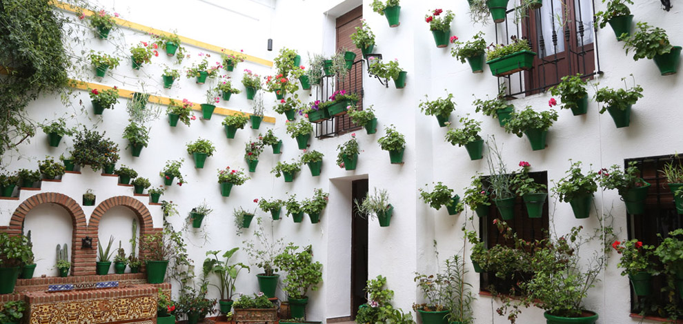 Cordoba patioer, Andalusien, Spanien