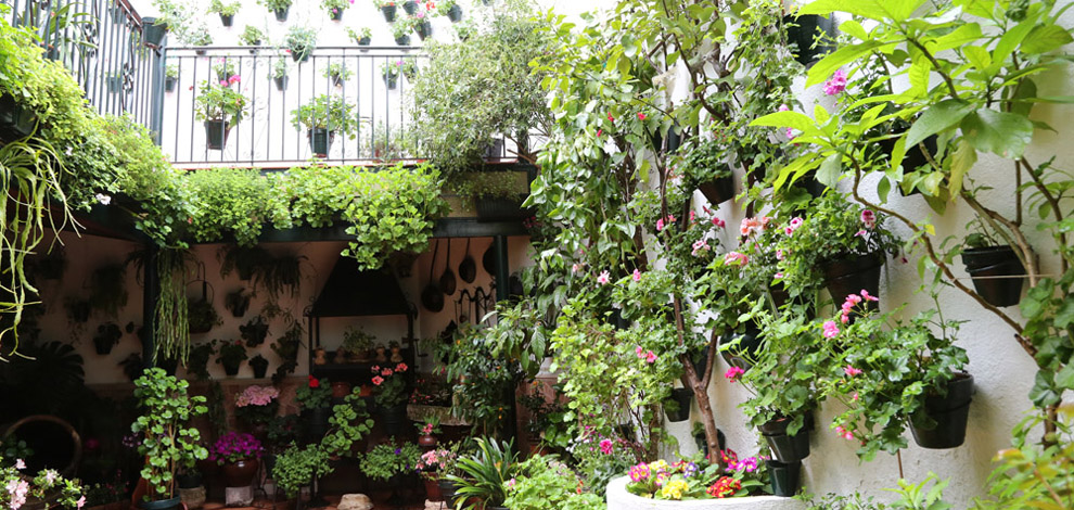 Cordoba patioer, Andalusien, Spanien