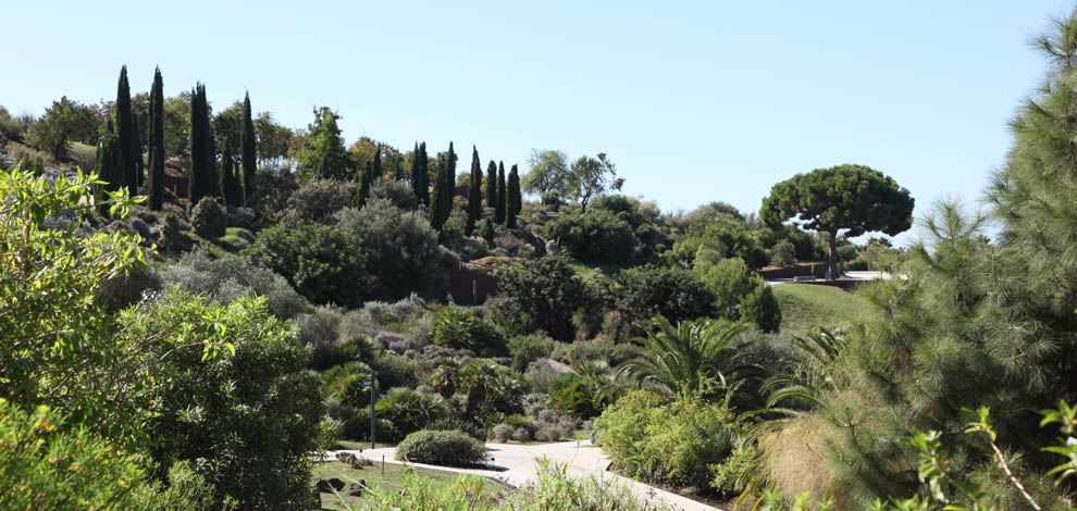 Jardi botanic barcelona