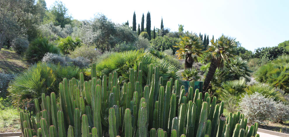 Jardi botanic barcelona