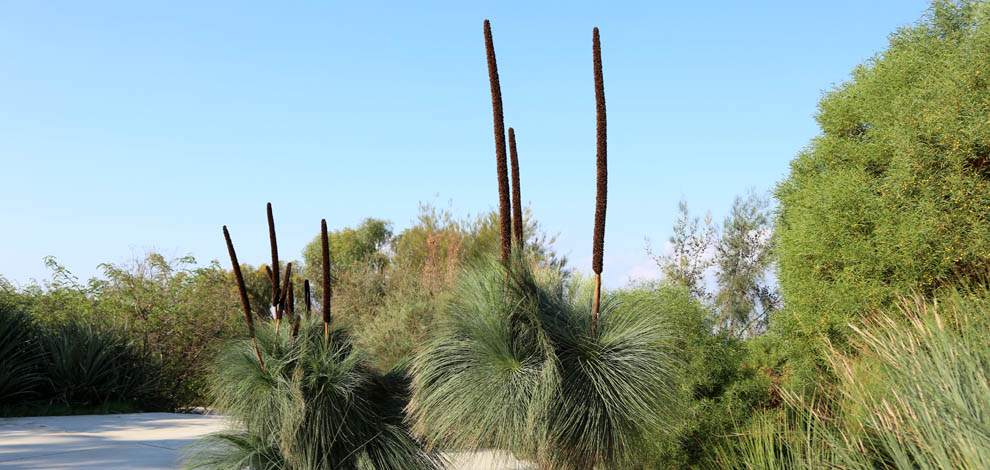 Jardi botanic barcelona