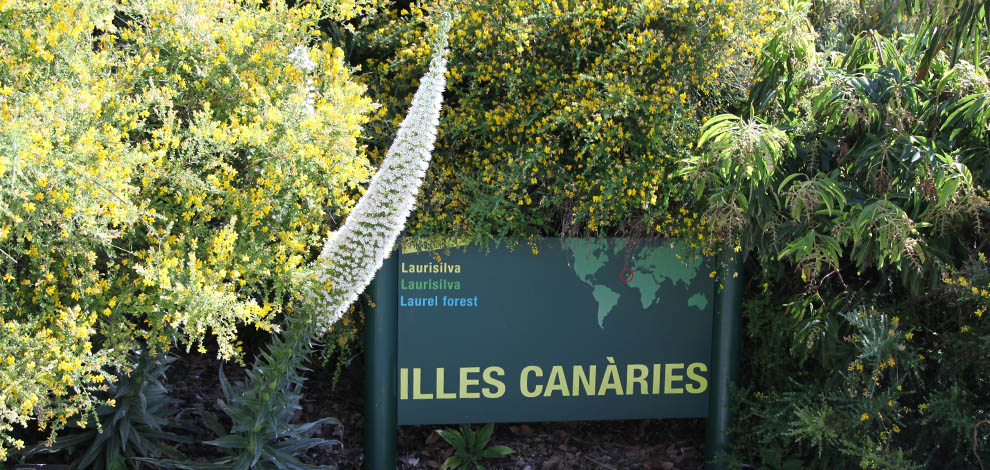 Jardi botanic barcelona