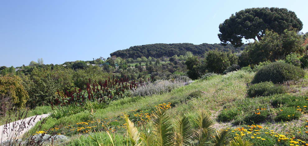 Jardi botanic barcelona