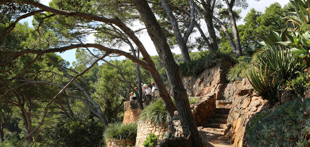 Jardi cap roig