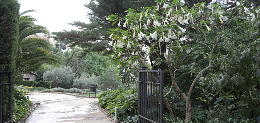 Park guell Barcelona