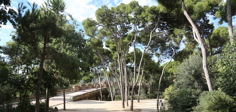 Park guell Barcelona