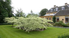 Bourton House Garden