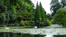 Irland, Altamont Garden