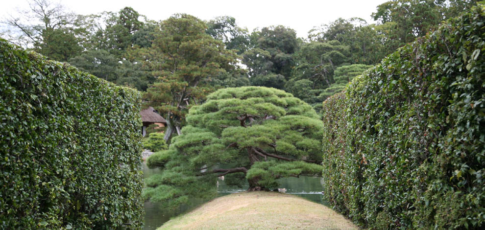 Katsura Rikyu