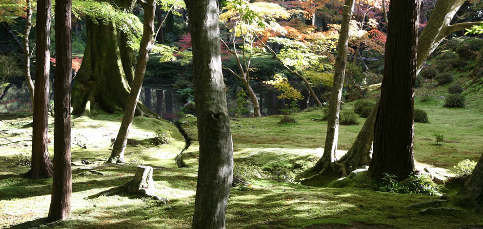 Moshaven i Kyoto