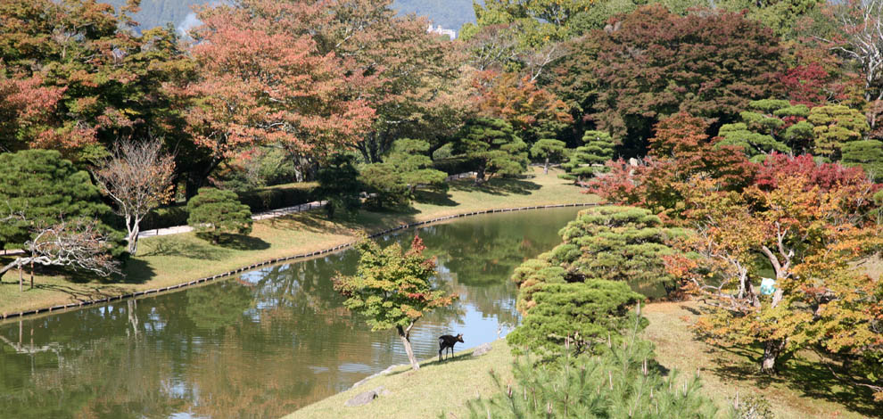 Shigaku in Rikyu