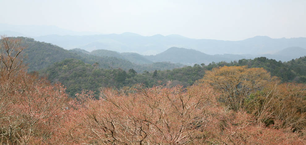 Shigaku in Rikyu