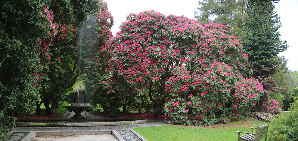 Lake district Holker Hall