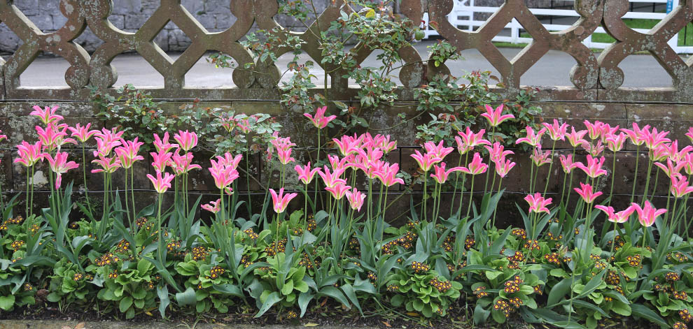 Lake district Holker Hall