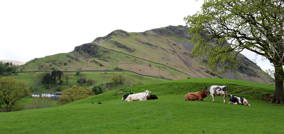 Lake district landskab