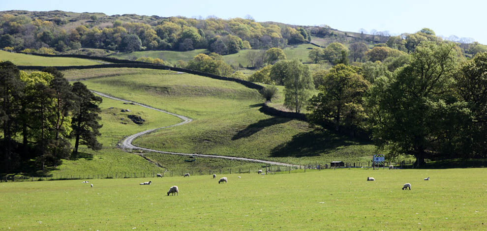 Lake district landskab