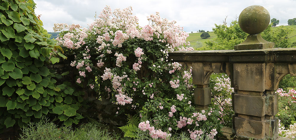 Haddon Hall