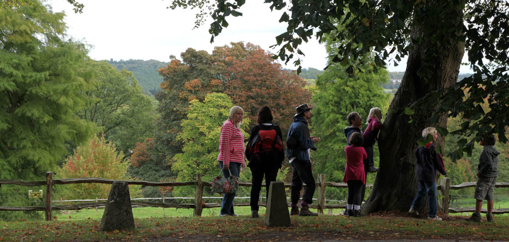 Nymans Garden