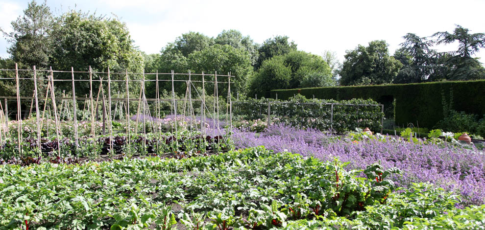 Tintin Hull Garden