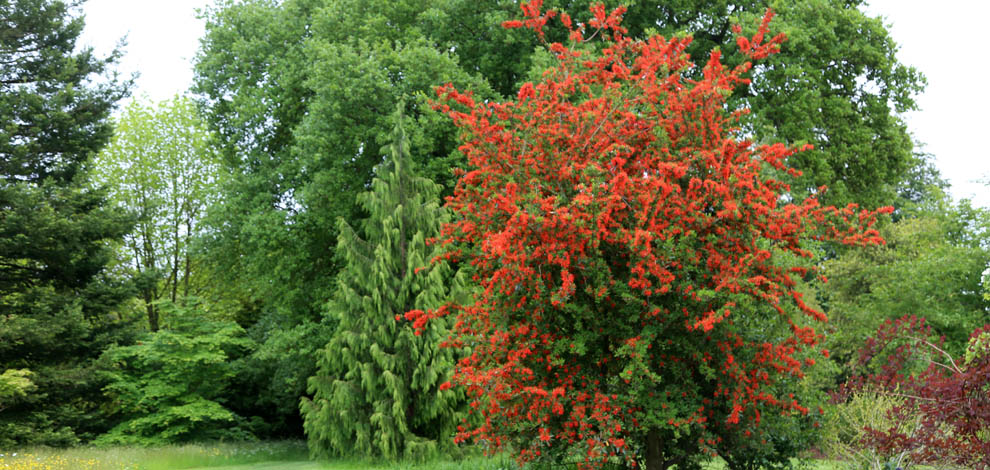 Wakehurst Place