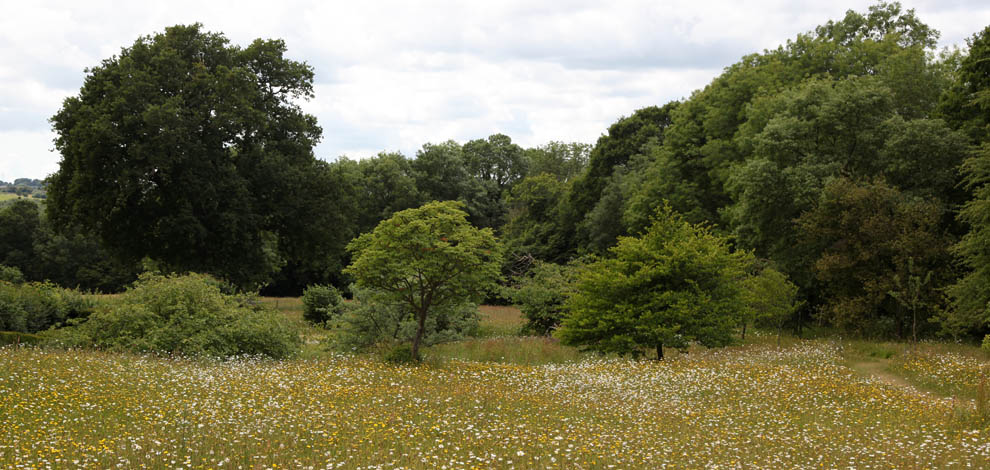 Great Dixter