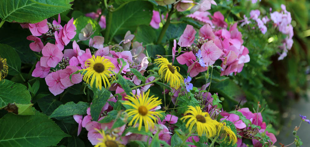 Great Dixter