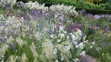 Dove Cottage